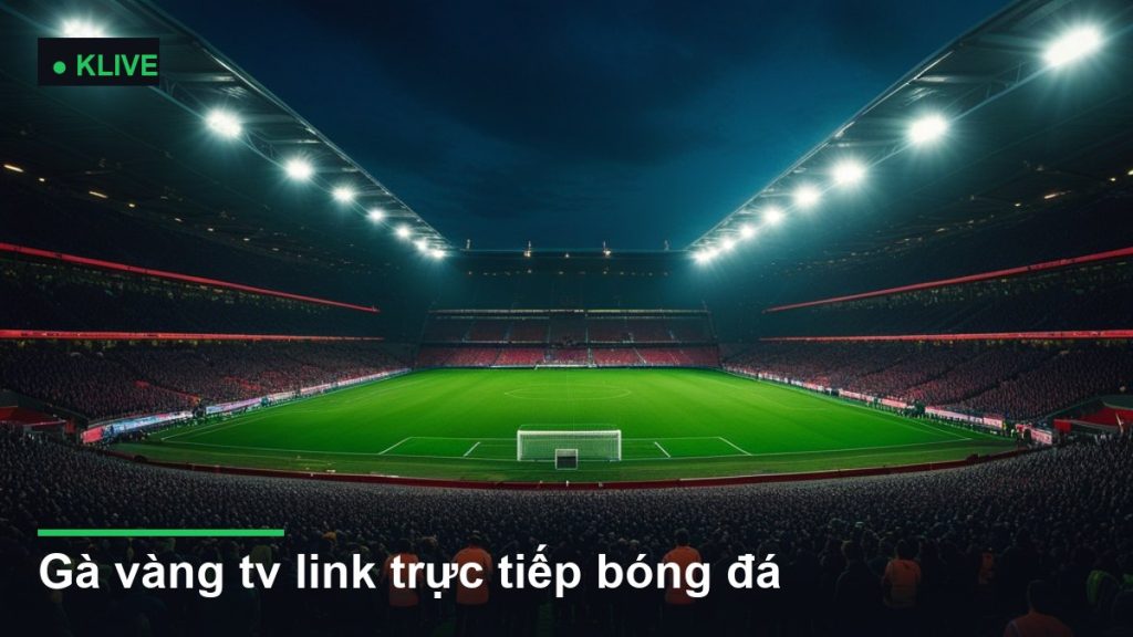 sân vận động bóng đá về đêm dưới ánh đèn pha - gà vàng tv link trực tiếp bóng đá