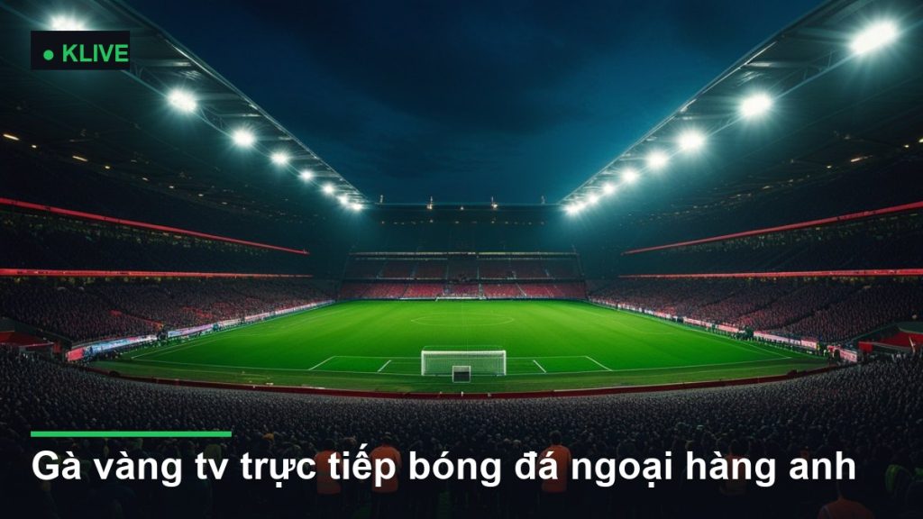 sân vận động bóng đá về đêm dưới ánh đèn pha - gà vàng tv trực tiếp bóng đá ngoại hàng anh