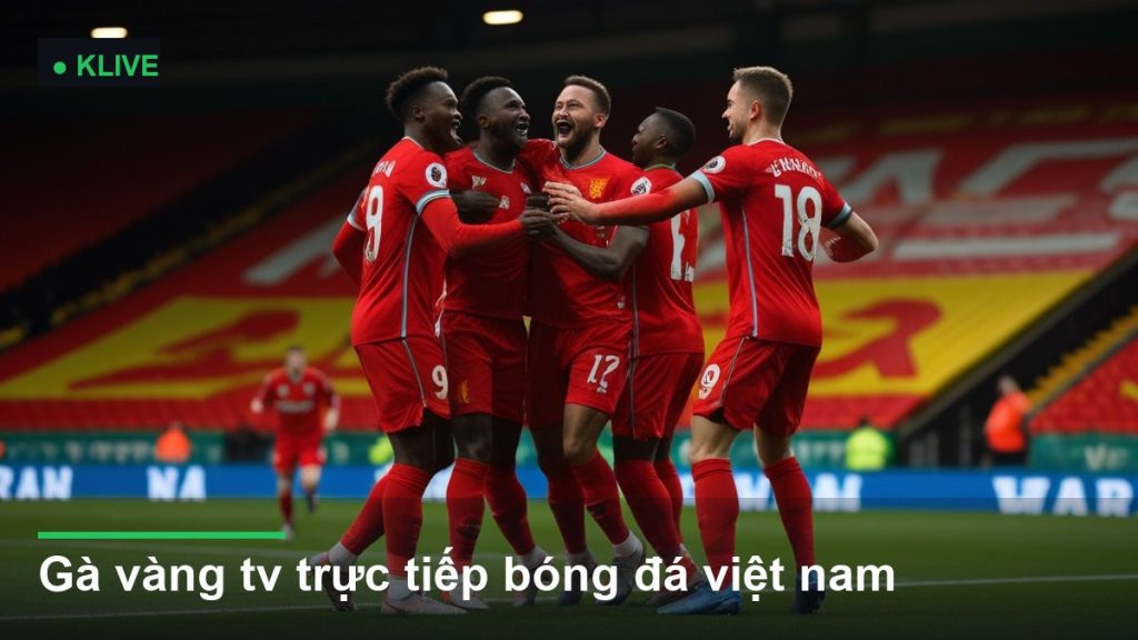 đội tuyển bóng đá Việt Nam thi đấu - gà vàng tv trực tiếp bóng đá việt nam